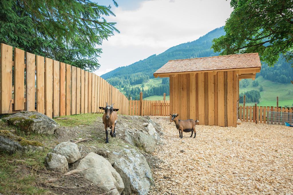 Stockhambauer Lägenhet Kleinarl Exteriör bild